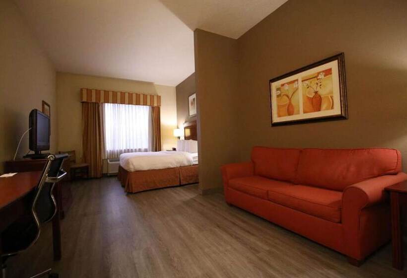 Люкс Адаптированный для Инвалидов, Seffner Inn And Suites