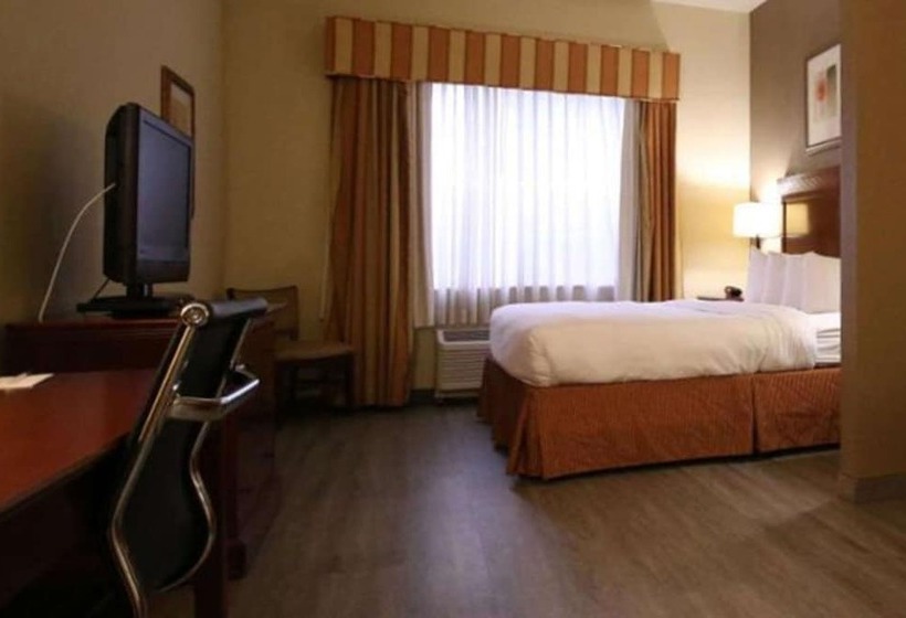 Люкс Адаптированный для Инвалидов, Seffner Inn And Suites