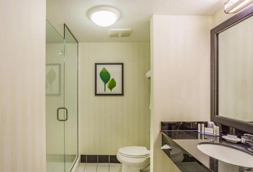 带大床的标准工作室, Fairfield Inn And Suites Turlock