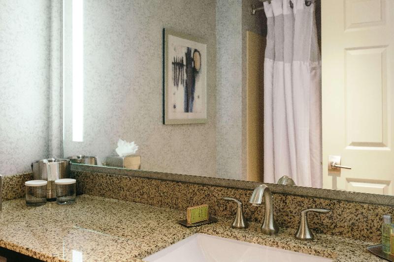 Стандартный Номер Кровать Кинг, Hilton Garden Inn Des Moines Airport