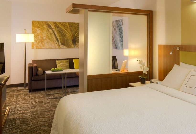 Студия Стандарт Двуспальная Кровать, Springhill Suites Anchorage University Lake
