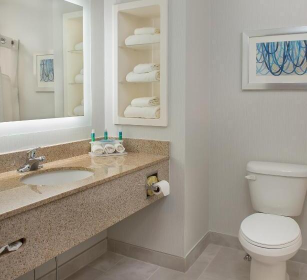 Номер Стандарт, Holiday Inn Express Hotel & Suites Clifton Park, An Ihg