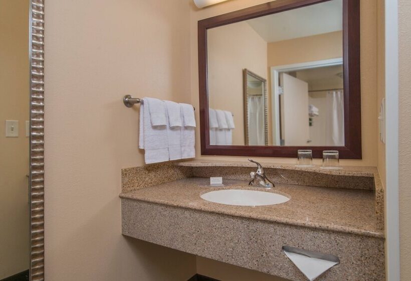 Люкс, Springhill Suites Hagerstown