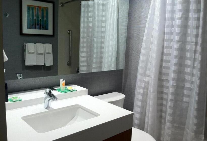 Стандартный Номер Кровать Кинг, Hyatt Place Detroit/novi