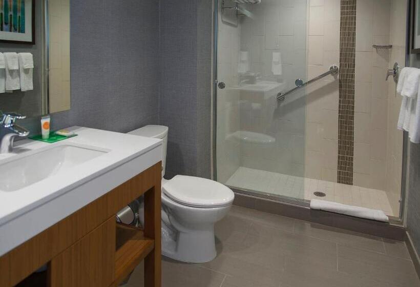 Номер Стандарт Адаптированный для Инвалидов, Hyatt Place Detroit/novi