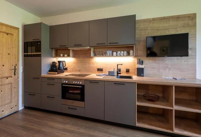 Апартаменты 2 Спальни с Балконом, Aparthotel Stadler