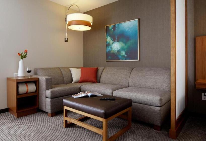חדר סטנדרט עם מיטת קינג, Hyatt Place Delray Beach