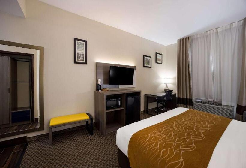 Номер Стандарт Кровать Кинг Адаптированный для Инвалидов, Comfort Inn & Suites Midway   Tallahassee West