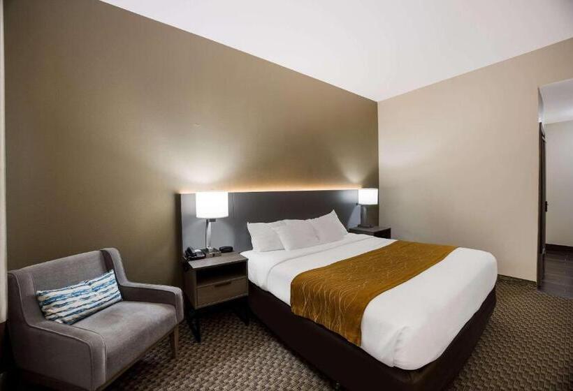 Люкс Адаптированный для Инвалидов, Comfort Inn & Suites Midway   Tallahassee West