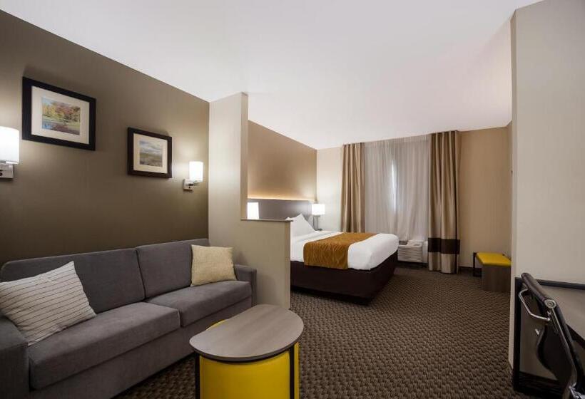 Люкс Адаптированный для Инвалидов, Comfort Inn & Suites Midway   Tallahassee West