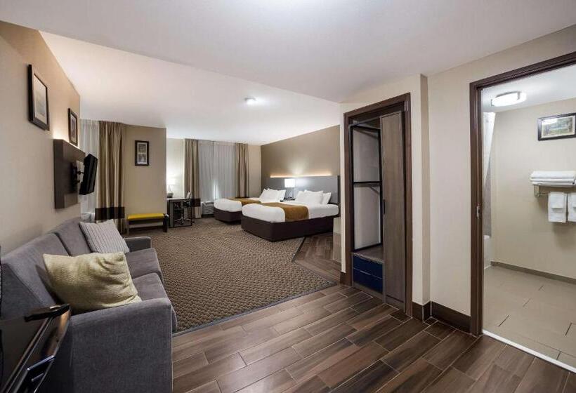 Люкс, Comfort Inn & Suites Midway   Tallahassee West