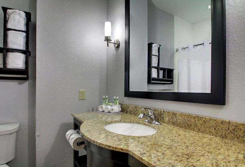스위트, Holiday Inn Express Natchez South West, An Ihg