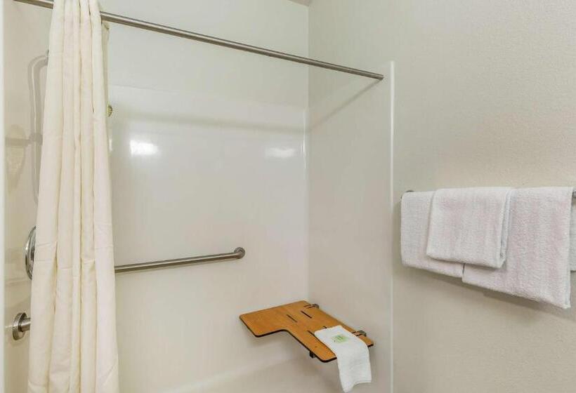Четырехместный Номер Deluxe, Studio 6orange, Tx