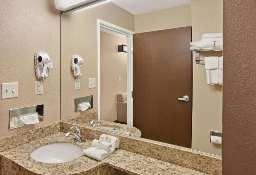 장애인을 위한 스탠다드 룸, Microtel Inn & Suites Sayre, Pa