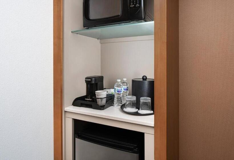 キングサイドベッドのスタンダードワンルーム, Springhill Suites By Marriott Midland Odessa