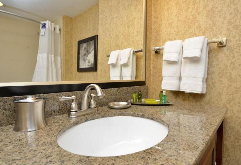 스탠다드 룸 킹사이즈 침대, Oshkosh Marriott Waterfront Hotel & Convention Center