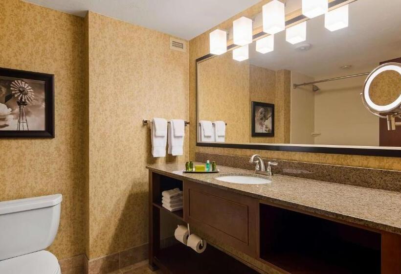 Стандартный Номер Кровать Кинг, Oshkosh Marriott Waterfront Hotel & Convention Center
