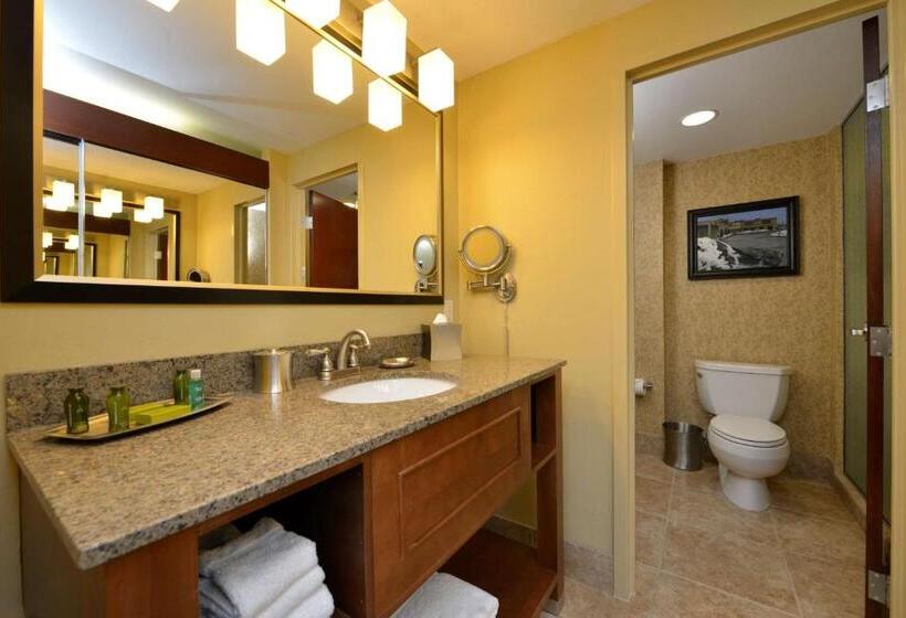 이그제큐티브 스위트 킹침대, Oshkosh Marriott Waterfront Hotel & Convention Center
