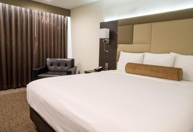 带大床的豪华间, Xilo Glendale