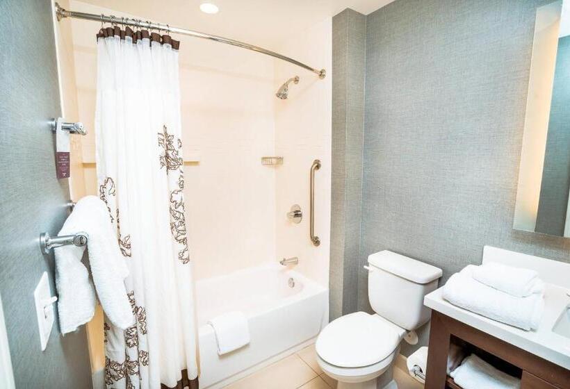 套房, Residence Inn By Marriott Albany Washington Avenue