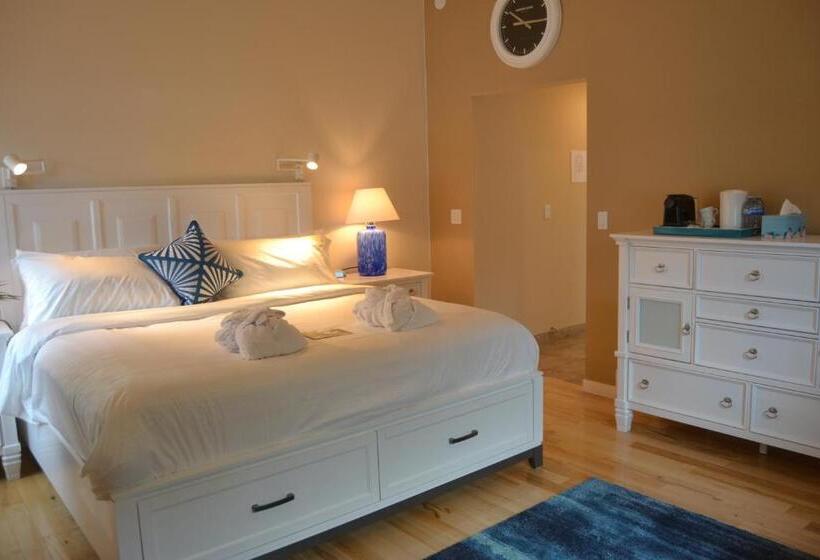 스탠다드 룸 킹사이즈 침대, Salish B&b And Spa