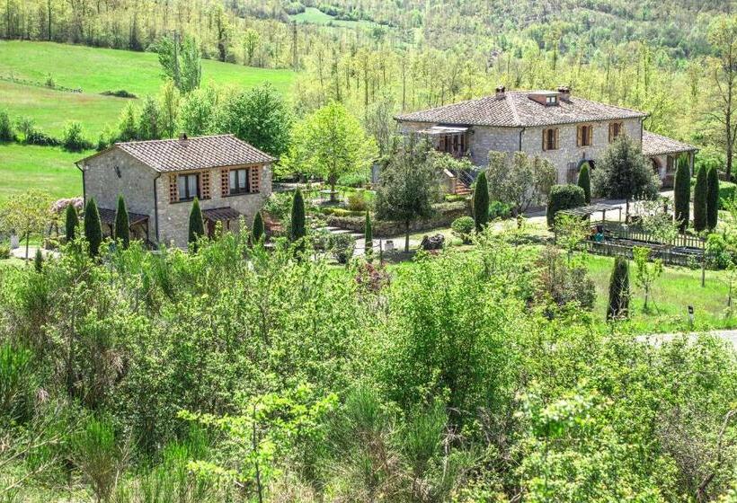 Студия Стандарт, Ca Novae   Tuscany Farmhouse