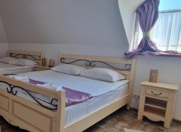 غرفة قياسية سرير كينج, Provence Suceava