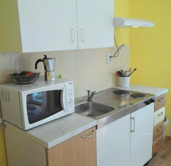 استودیوی استاندارد, Apartment Biro Kestenovi