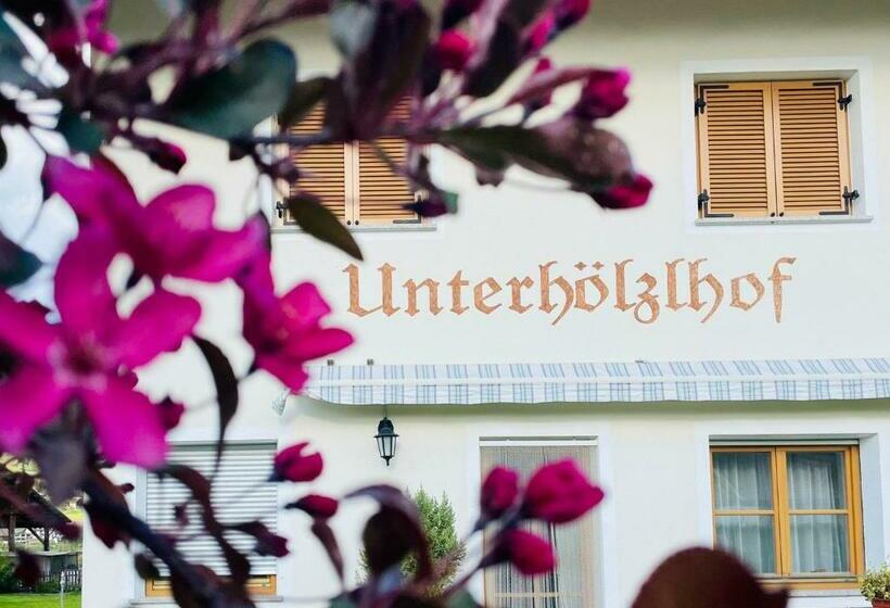Апартаменты 1 Спальня, App Unterhoelzlhof   Chalet Anima