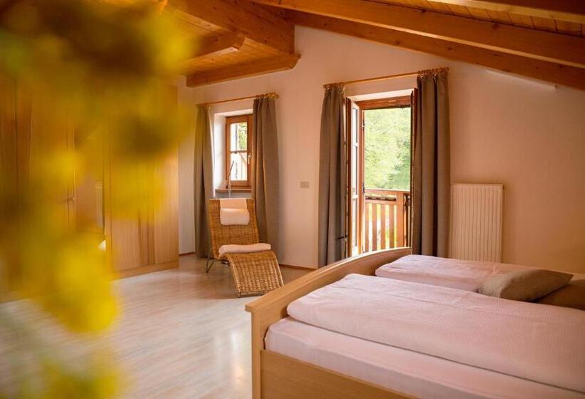 Апартаменты 1 Спальня Вид на Бассейн, Engadiner Apartments & Wines