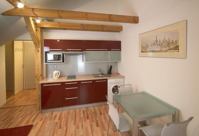 １ベッドルームアパートメント, Residence U černé Věže české Budějovice