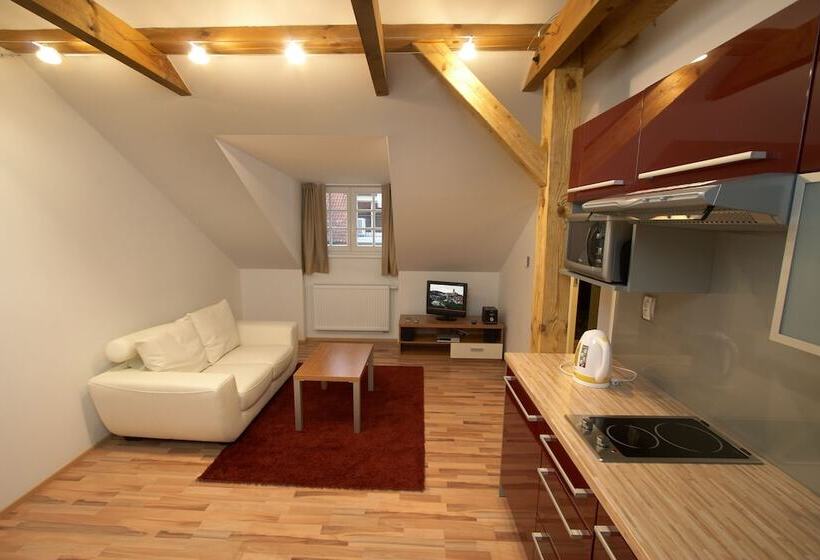 １ベッドルームアパートメント, Residence U černé Věže české Budějovice