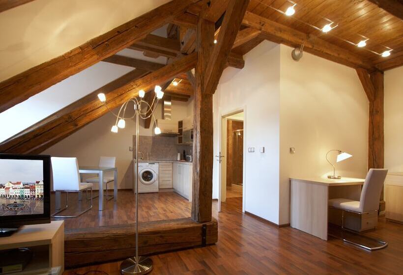 １ベッドルームアパートメント, Residence U černé Věže české Budějovice