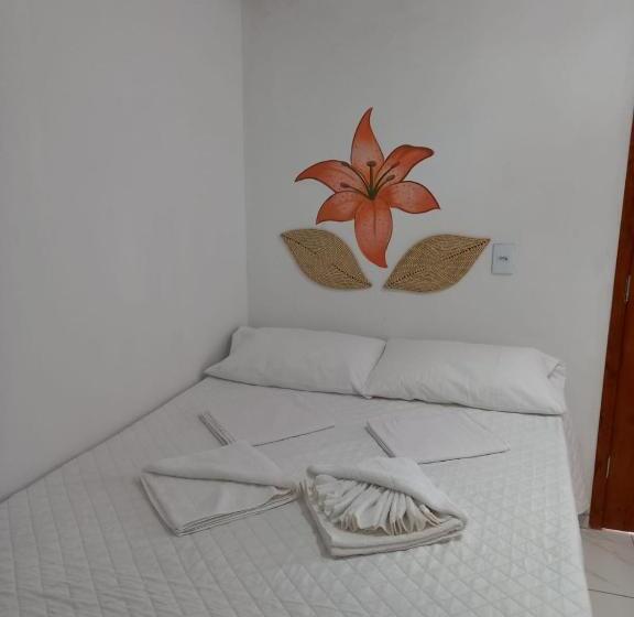 Люкс Повышенной Комфортности, Pousada Recanto Das Flores