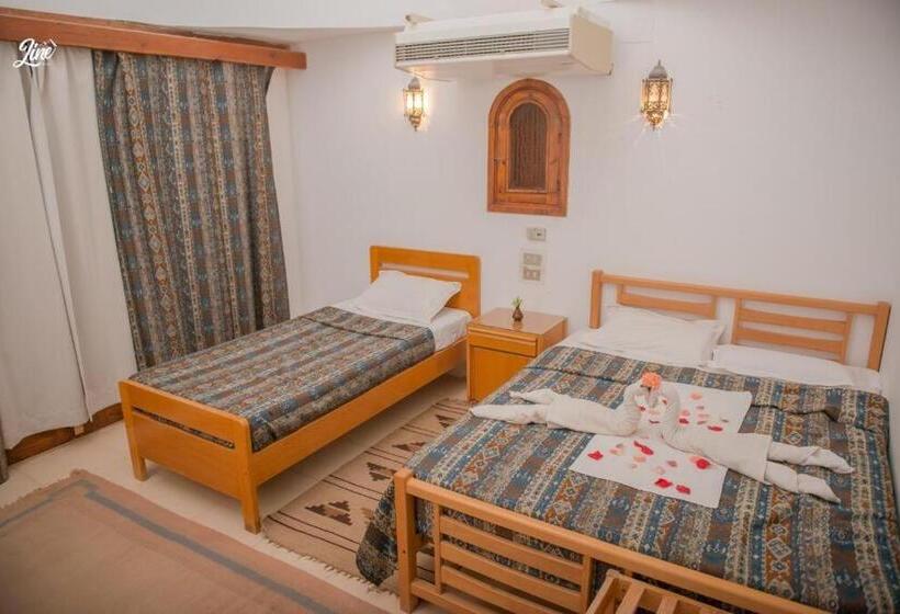 اتاق استاندارد چهار تخته با چشم‌انداز دریا, Lagona Dahab