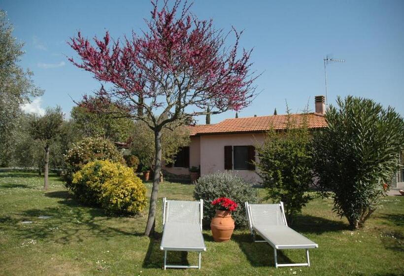 庭の見える１ベッドルームアパートメント, Casa Maremma
