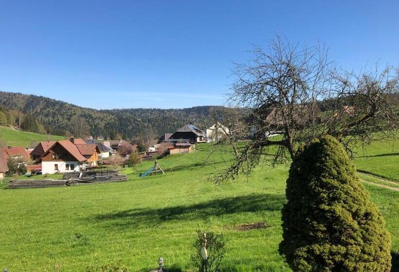 Номер Стандарт, Das Schwarzwald