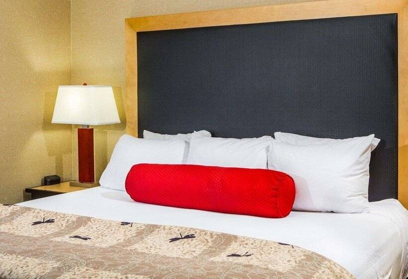 适合残疾人士使用的套间, Cambria Hotel Traverse City