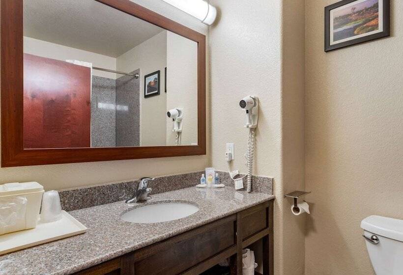 Люкс, Comfort Inn & Suites Navasota
