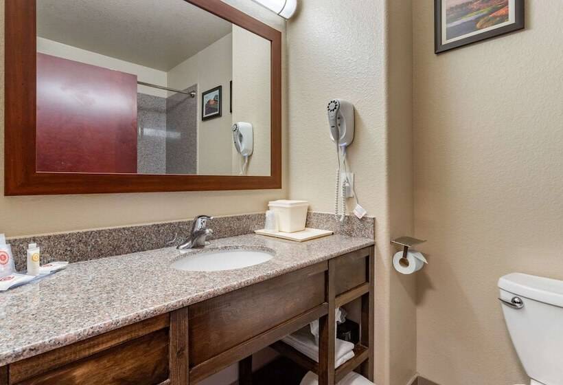 Люкс, Comfort Inn & Suites Navasota