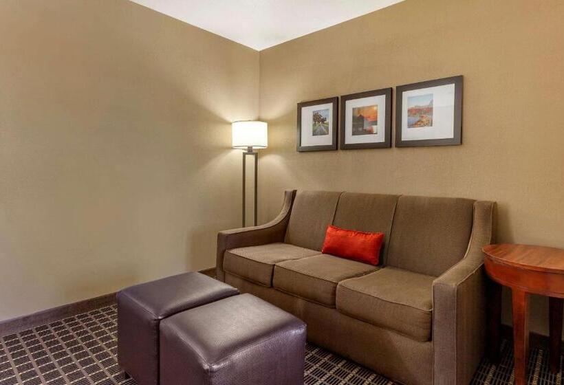 Люкс Кровать Кинг, Comfort Suites Delavan  Lake Geneva Area