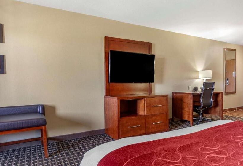 Люкс Адаптированный для Инвалидов, Comfort Suites Delavan  Lake Geneva Area