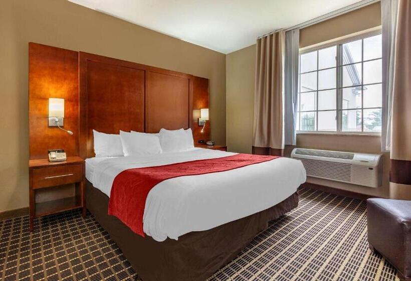 Люкс Адаптированный для Инвалидов, Comfort Suites Delavan  Lake Geneva Area