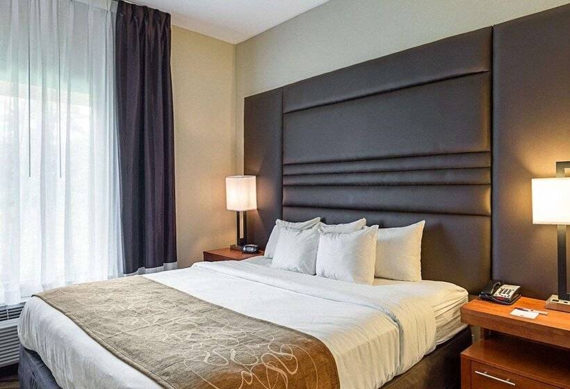 Люкс, Comfort Suites Near Tanger Outlet Mall