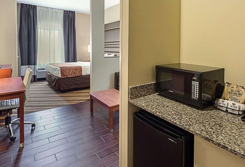 Люкс, Comfort Suites Near Tanger Outlet Mall