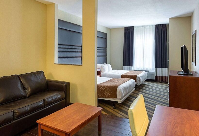 Люкс, Comfort Suites Near Tanger Outlet Mall