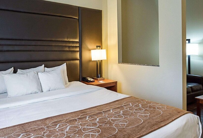 Люкс Адаптированный для Инвалидов, Comfort Suites Near Tanger Outlet Mall