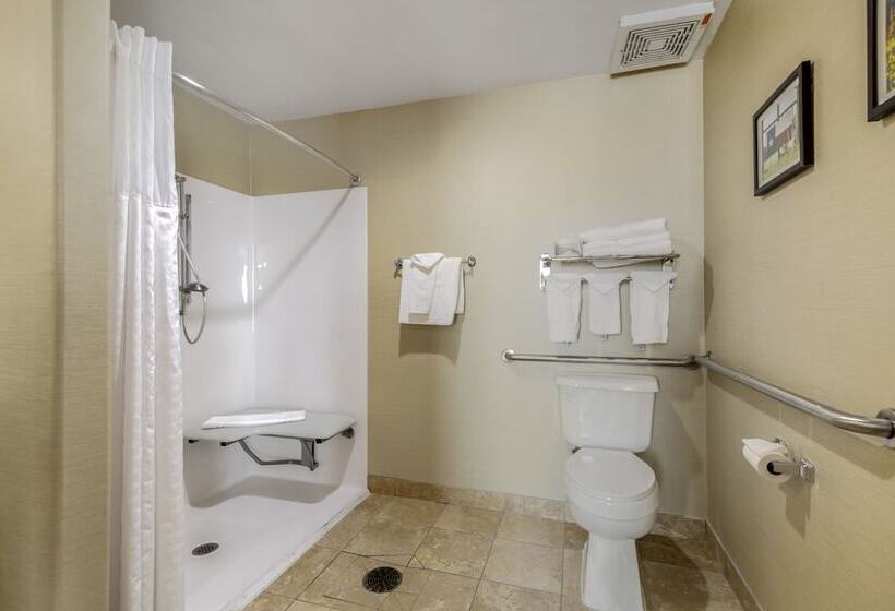 Люкс Адаптированный для Инвалидов, Comfort Suites Pflugerville  Austin North