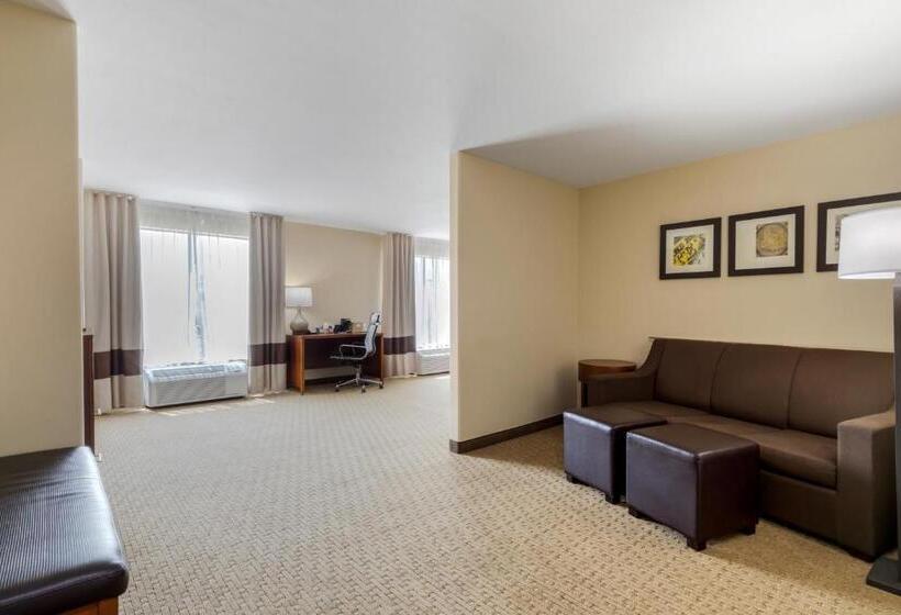 Люкс Адаптированный для Инвалидов, Comfort Suites Pflugerville  Austin North