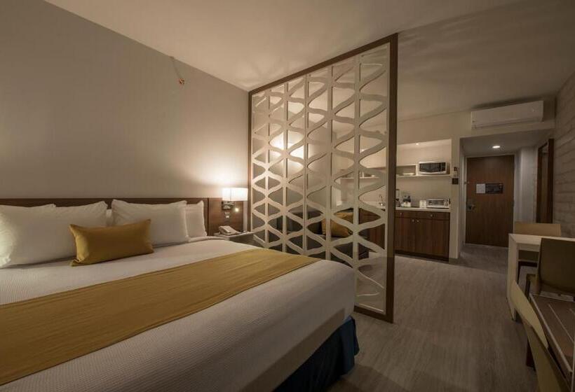 带大床的套房, Microtel Inn & Suites By Wyndham Guadalajara Sur